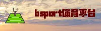 BSPORT(BSPORT)体育APP官网 · 极致赛事体验 · V2X8